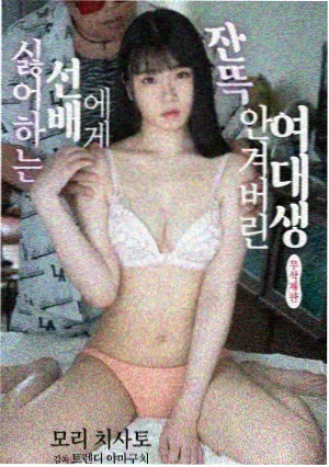 百度网盘 顶流男团的小助理 txt合集 封面